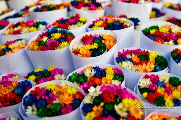 Colorines