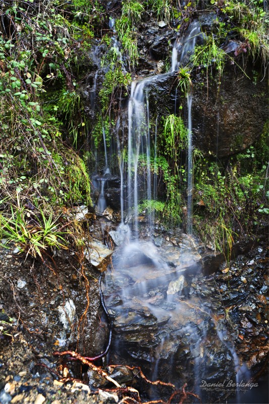 Agua sedosa