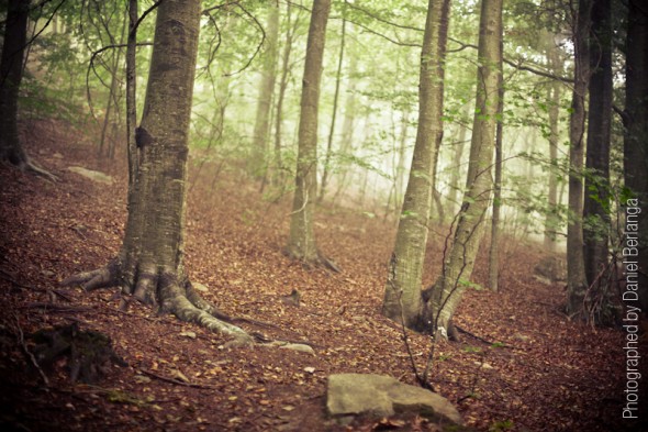 Montseny
