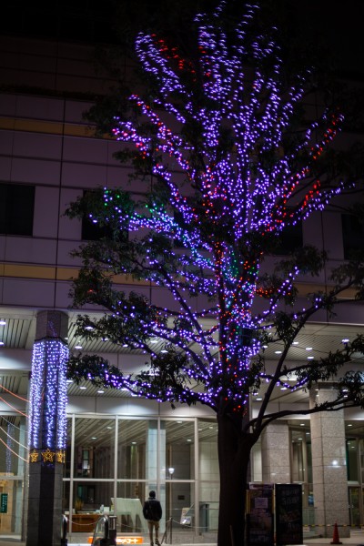 Luces de Navidad en Shinjuku